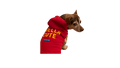 Dog-Shella-Cute Hero